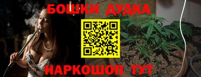 сатива Будённовск