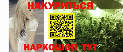 сатива Будённовск